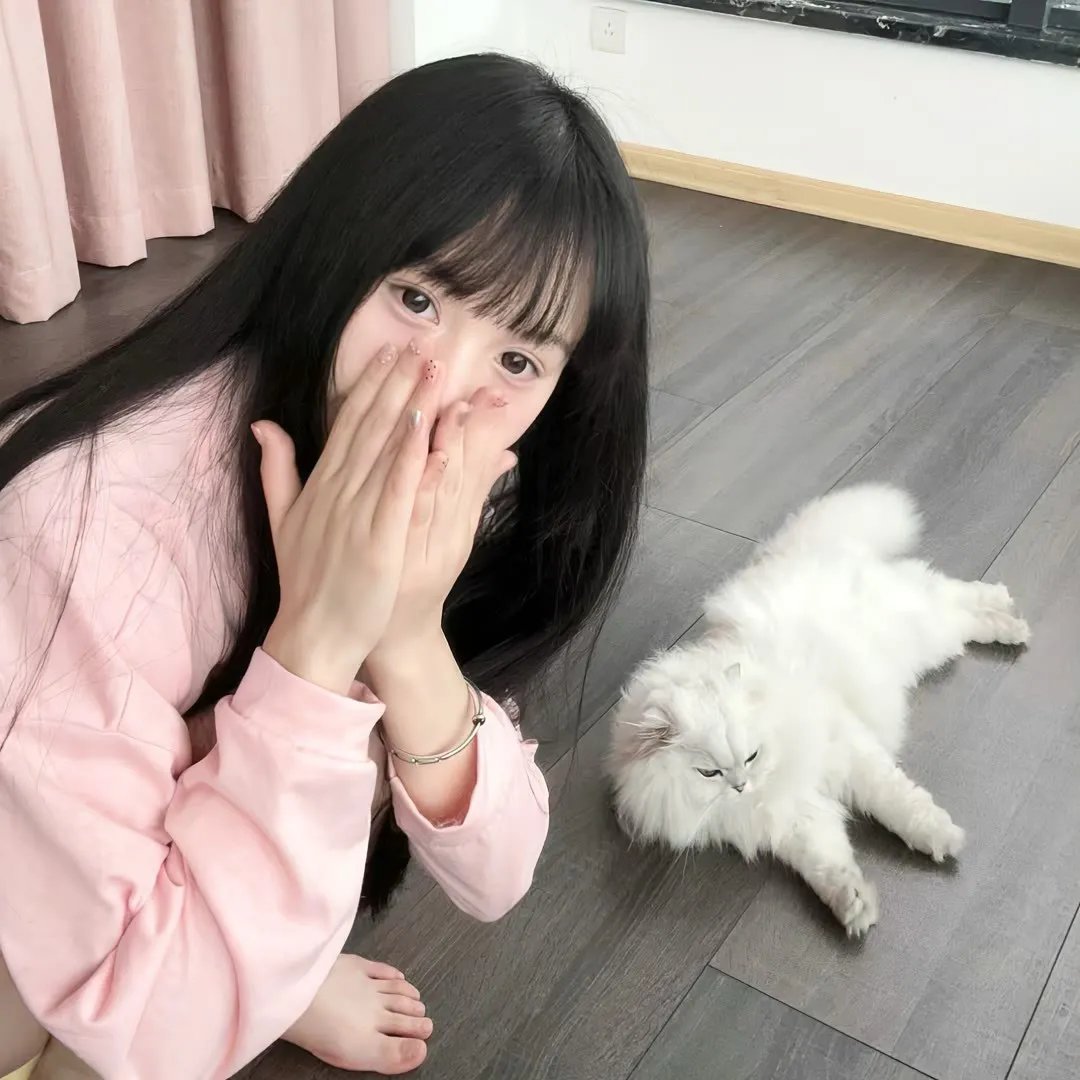 狮子彻夜未眠